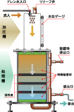 構造